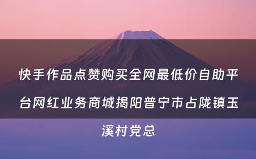 快手作品点赞购买全网最低价自助平台网红业务商城揭阳普宁市占陇镇玉溪村党总