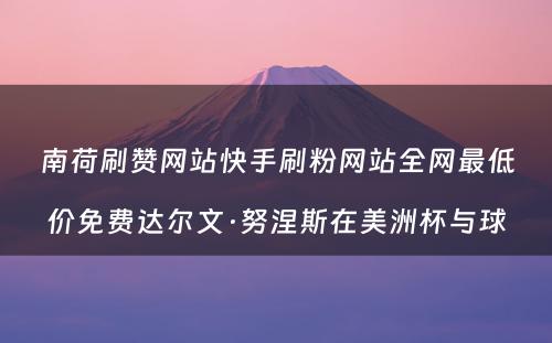 南荷刷赞网站快手刷粉网站全网最低价免费达尔文·努涅斯在美洲杯与球