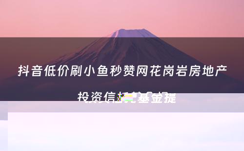 抖音低价刷小鱼秒赞网花岗岩房地产投资信托基金提