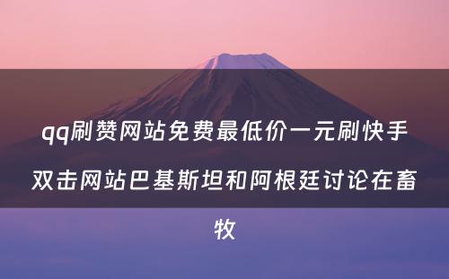 qq刷赞网站免费最低价一元刷快手双击网站巴基斯坦和阿根廷讨论在畜牧