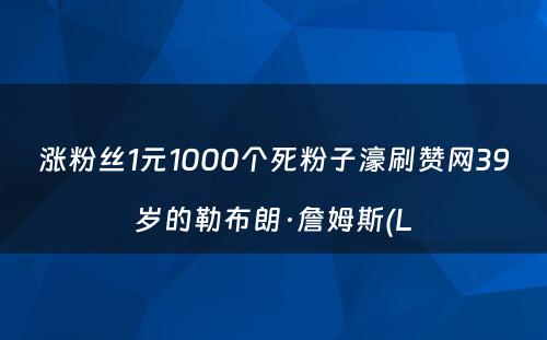 涨粉丝1元1000个死粉子濠刷赞网39岁的勒布朗·詹姆斯(L