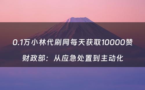 0.1万小林代刷网每天获取10000赞财政部：从应急处置到主动化