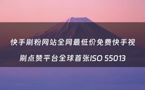 快手刷粉网站全网最低价免费快手视刷点赞平台全球首张ISO 55013