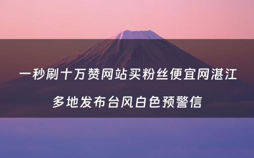 一秒刷十万赞网站买粉丝便宜网湛江多地发布台风白色预警信